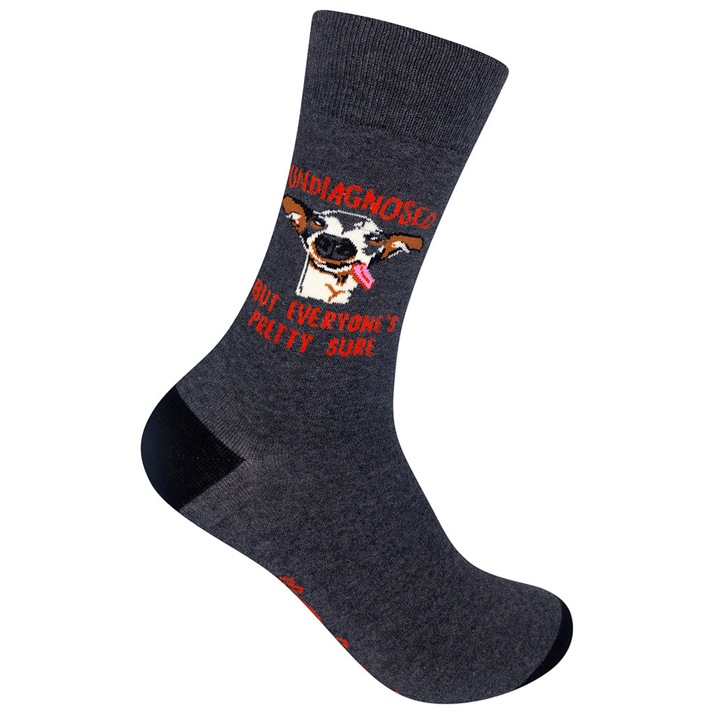 Undiagnosed gray crew socks with derpy dog - right foot view