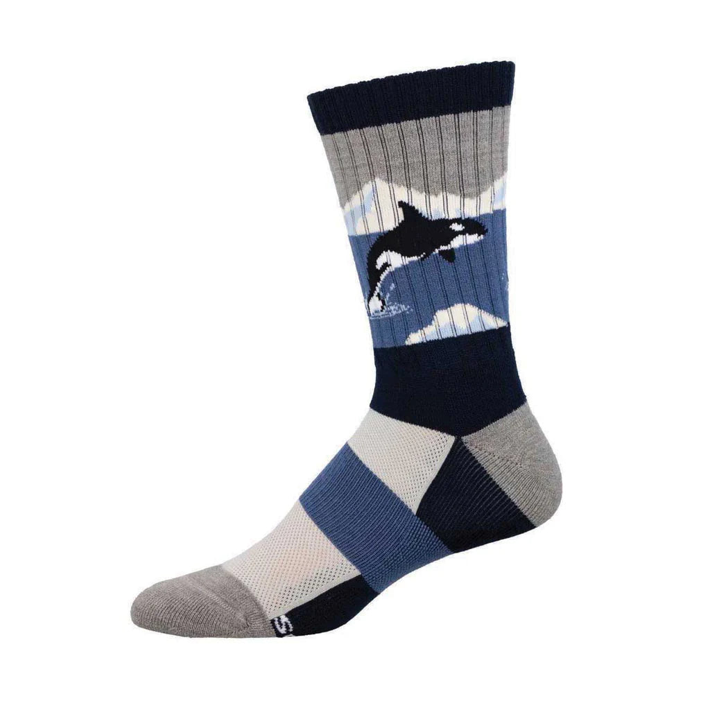 Men's Arctic orca merino wool crew socks, flat single sock showing orca on gray panel