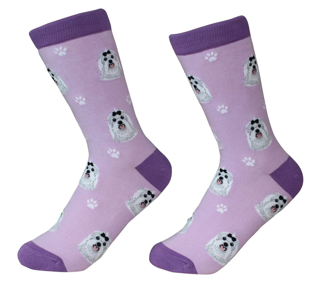 Maltese Crew Socks | Unisex - Knock Your Socks Off