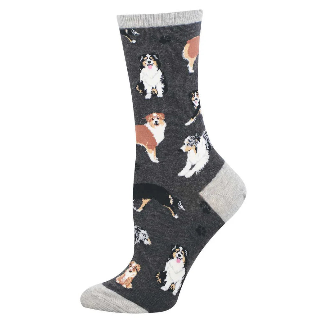Women's Australian Shepherd crew socks laid flat, charcoal with merle and tri-color Aussie dogs and paw prints