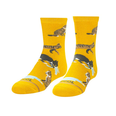 Cats Being Cats Crew Socks | Kids' - Knock Your Socks Off