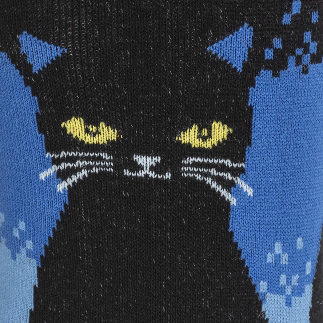 Close-up of a black cat&
