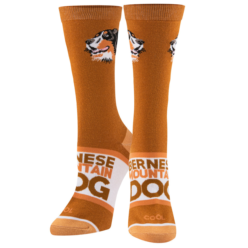 Cool Socks - Bernese Mountain Dog Socks | Women's - Knock Your Socks Off