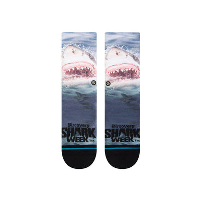 Shark Week Crew Socks | Kid's - Knock Your Socks Off