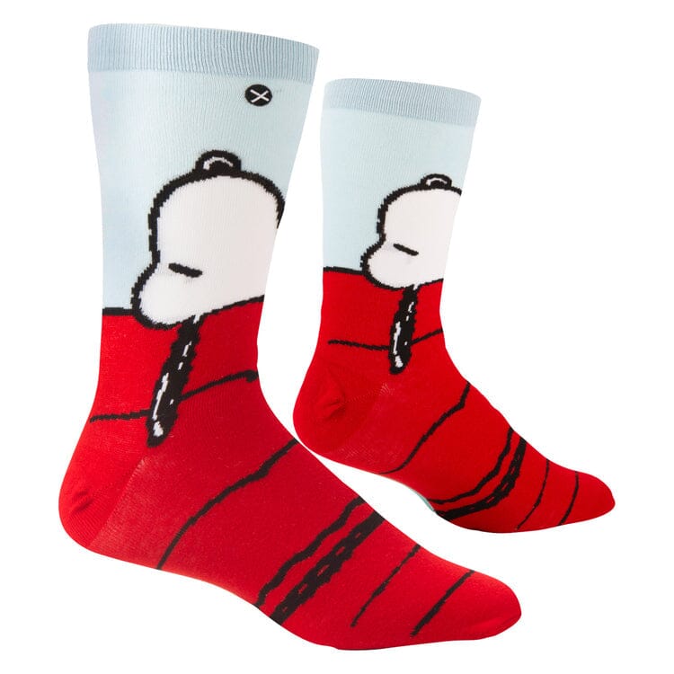 Top-down view of the Snoopy socks showing Snoopy resting on the red roofline