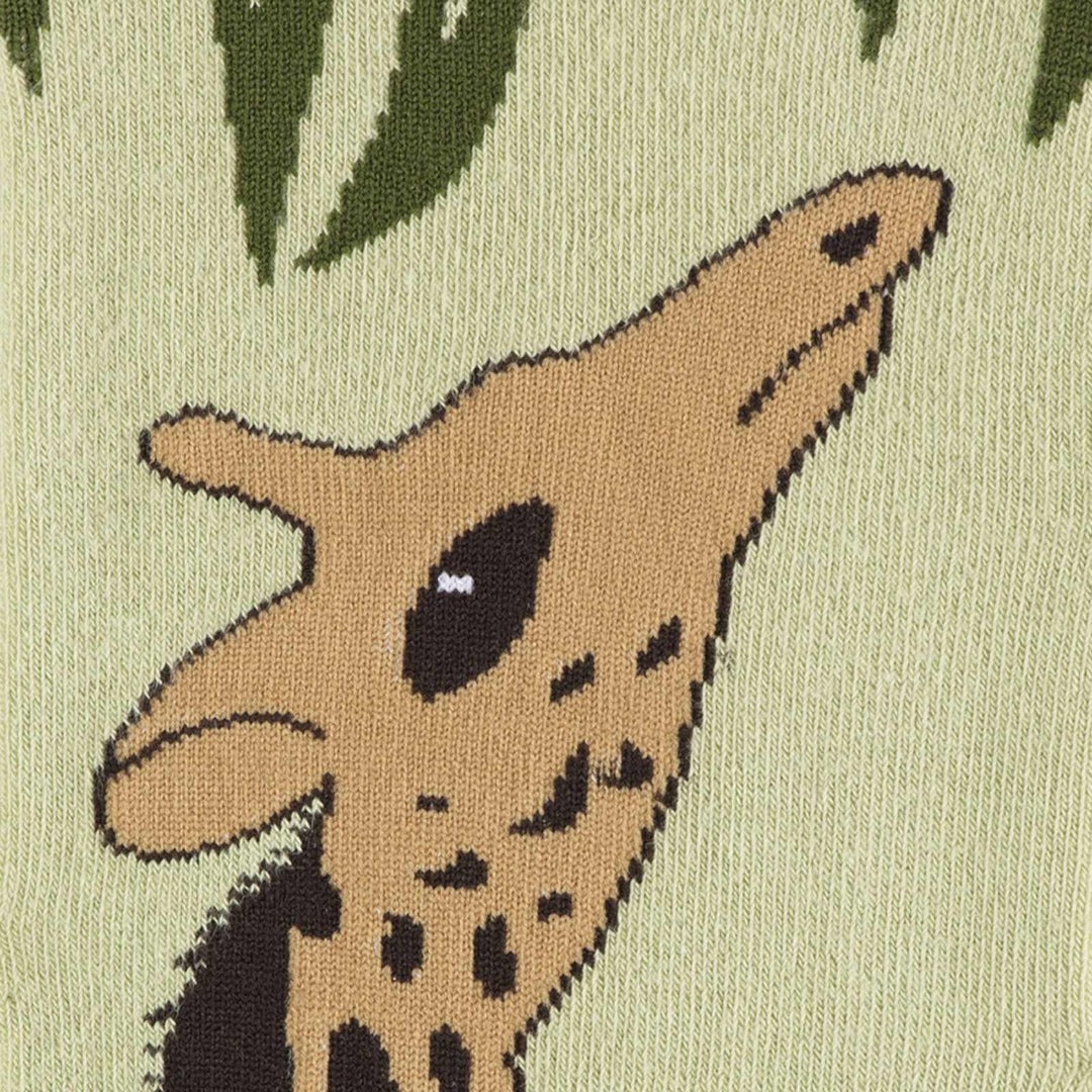 Close-up of the giraffe&