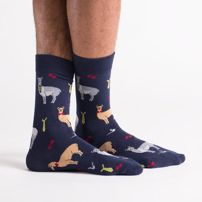 Sock It To Me - Llama Drama Crew Socks | Men's - Knock Your Socks Off