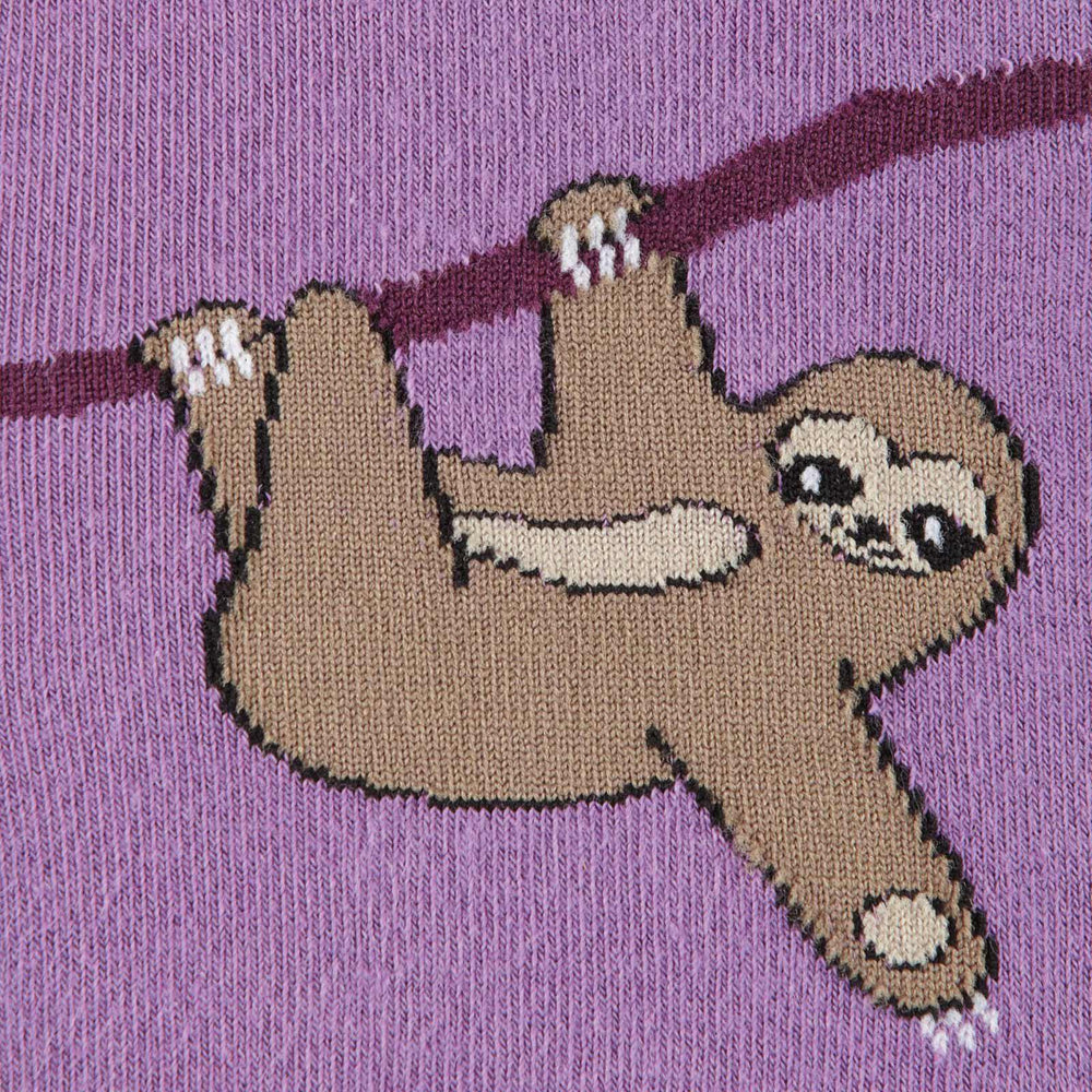 Close-up of a sloth hanging upside down from a branch